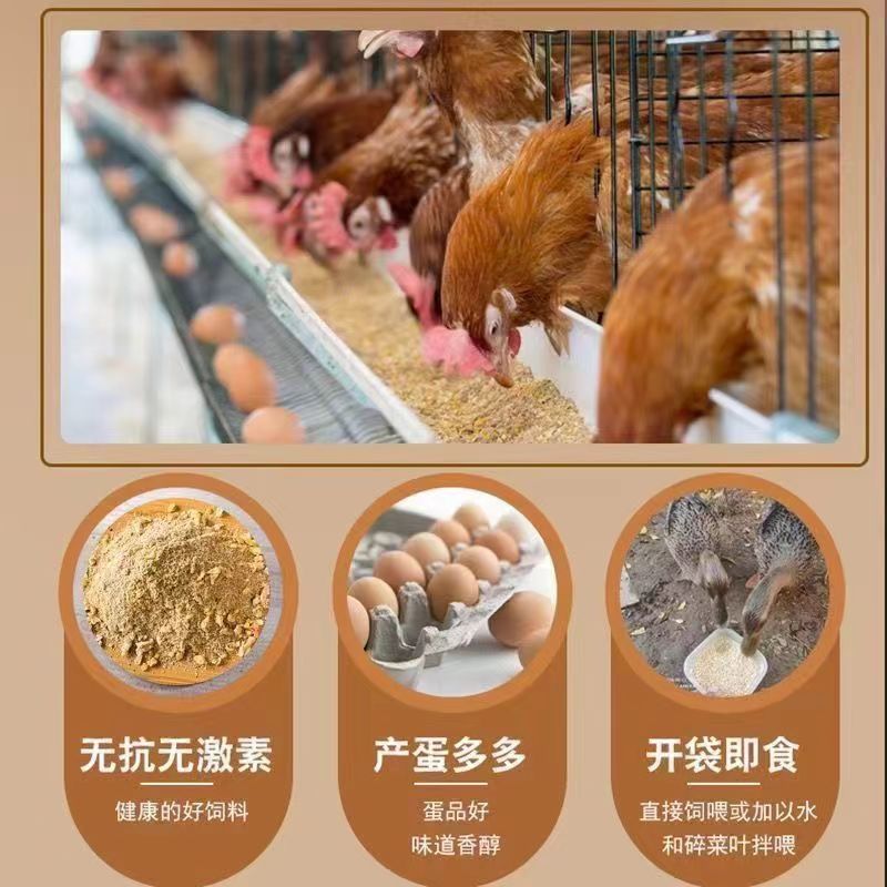 高产蛋鸡散养土鸡产蛋鸡专用饲料