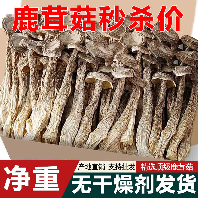 新货鹿茸菇干货煲汤食材摆件蘑菇虫草鹿耳菇香菇菌类滋补长辈礼物