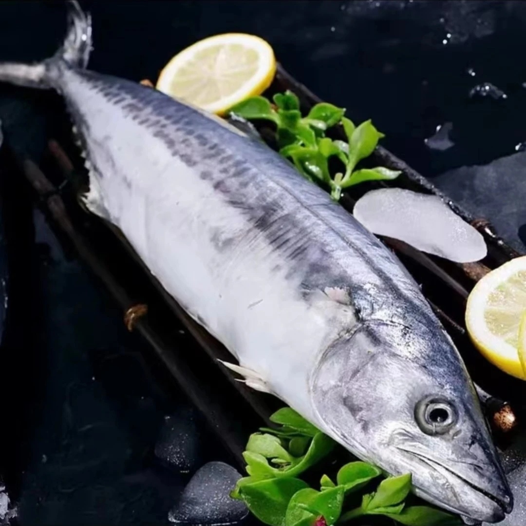 大鲅鱼 选规格链接，速冻锁鲜青岛顺丰发货