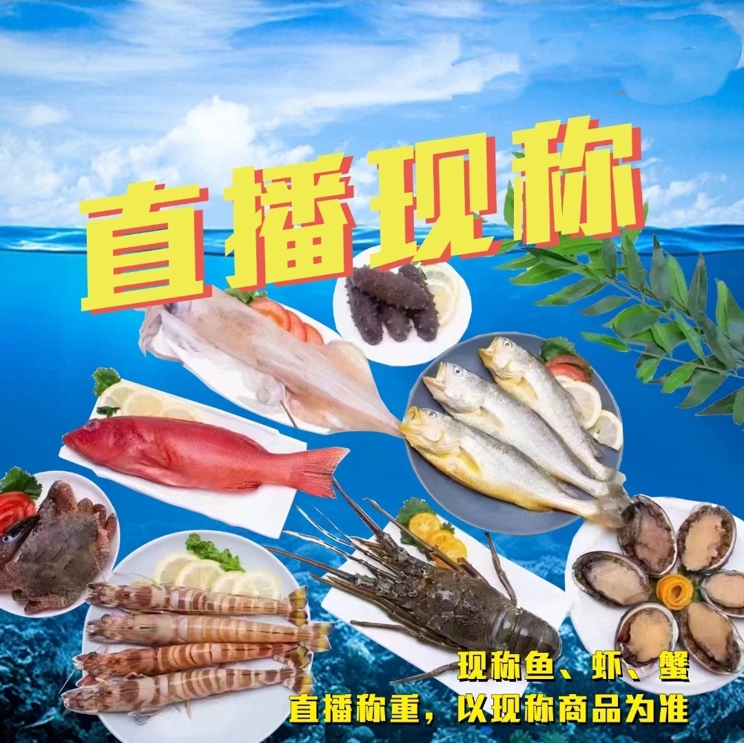 直播间现称杂鱼 链接 速冻锁鲜 青岛顺丰包邮
