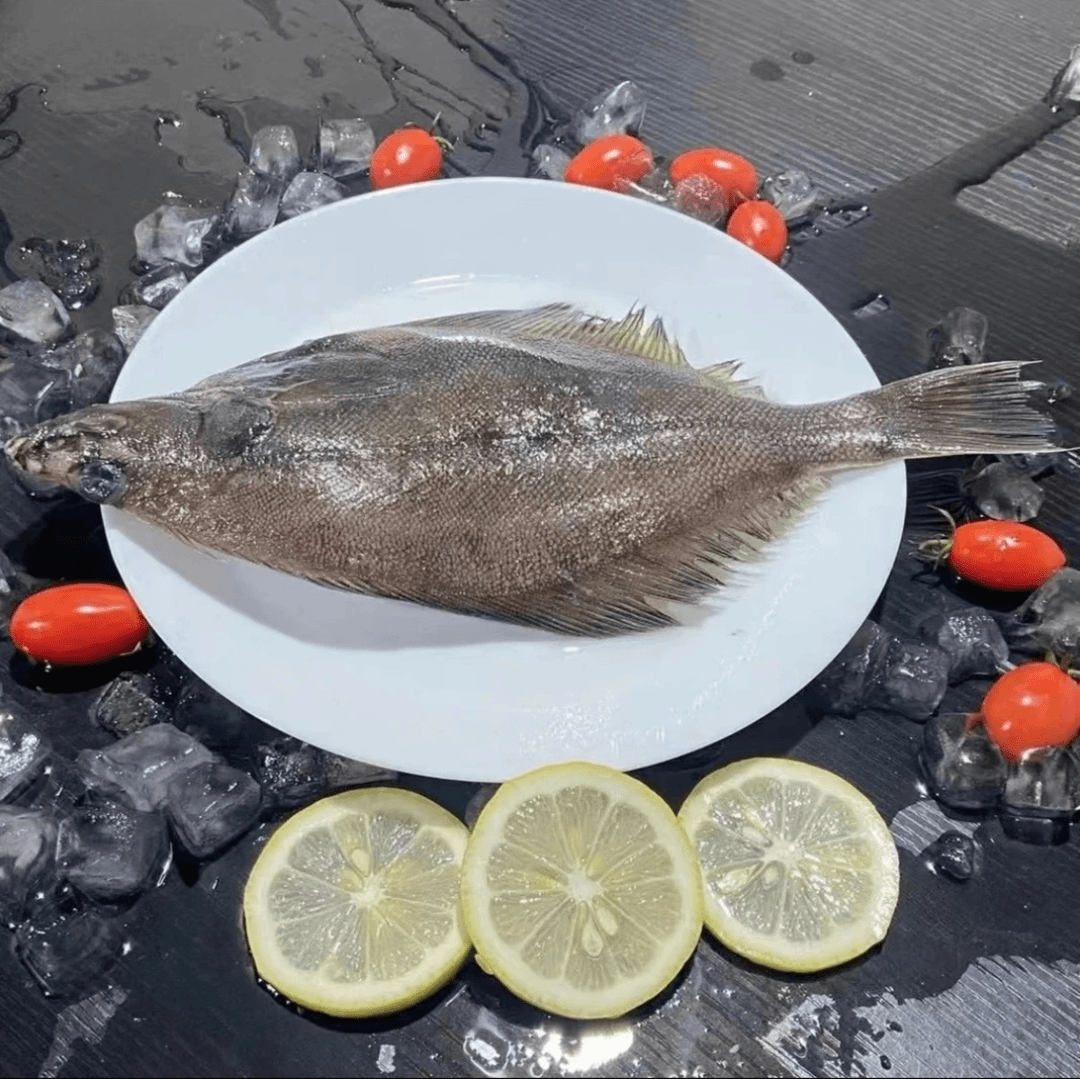 偏口鱼 4斤速冻后发货