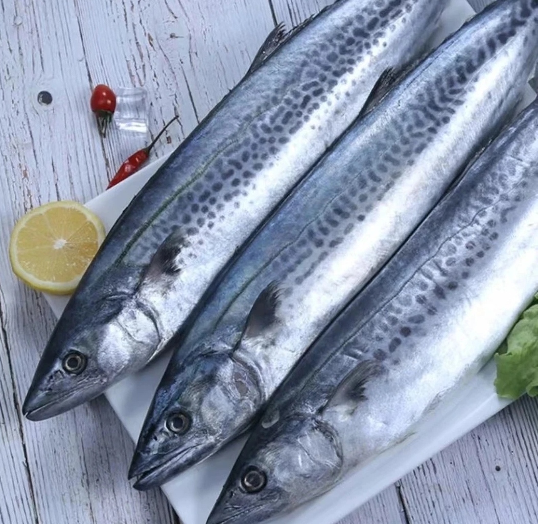 鲅鱼马鲛鱼（6斤共3条）速冻锁鲜发货