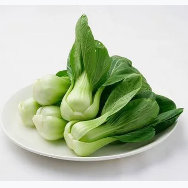 油菜（480g-500g）（蔬菜）油菜