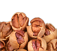 临安特产山核桃