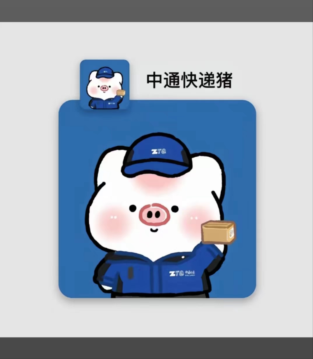 中通运费+包装费补差  不退款  不是泰狮金鱼链接