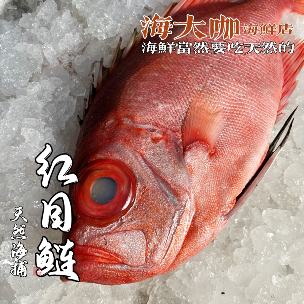 野生红目鲢 (大眼鸡 )肉质脆嫩鱼味特浓