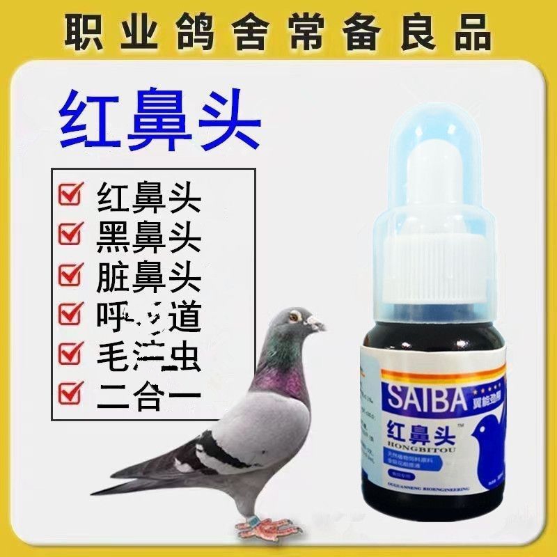 翼能红鼻头/鸽子信鸽赛鸽用品
