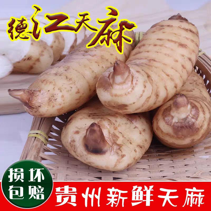 贵州德江高山天麻