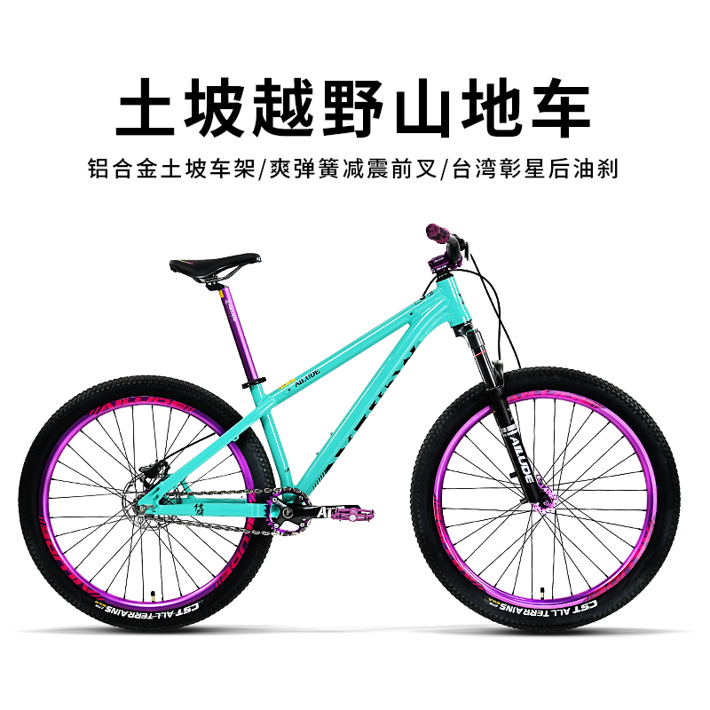 AILUDE艾路徳TP100土坡车26寸单速单后油碟青少年自行车山地车