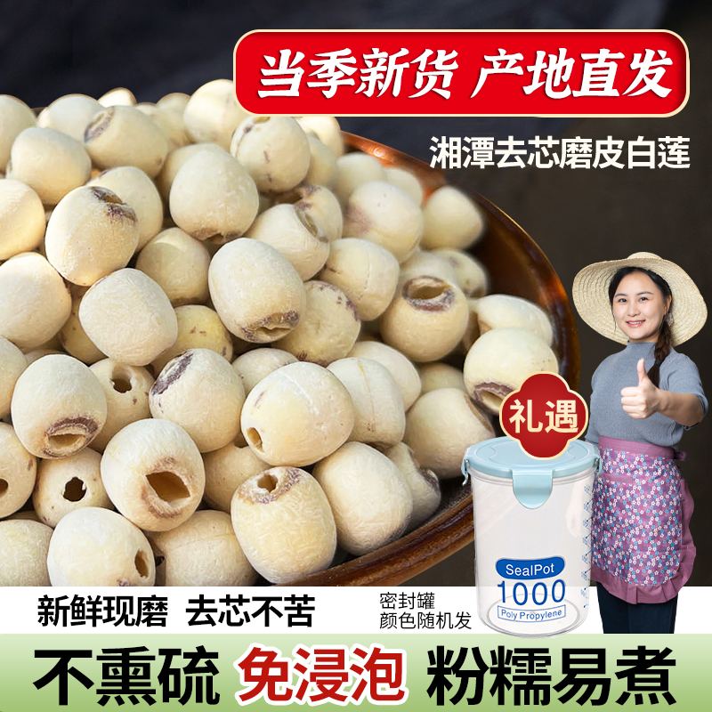 【小茵姑娘】湘潭去芯磨皮白莲子500g新鲜正宗饱满清香健康煲汤煮粥