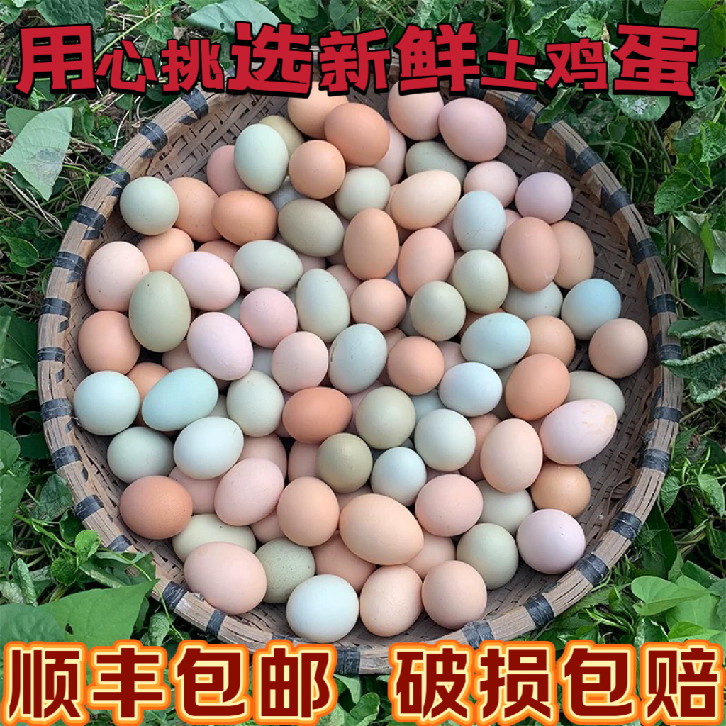 【初生土鸡蛋嫌小勿拍】新鲜鸡蛋农家正宗土鸡蛋五谷喂养健康营养蛋