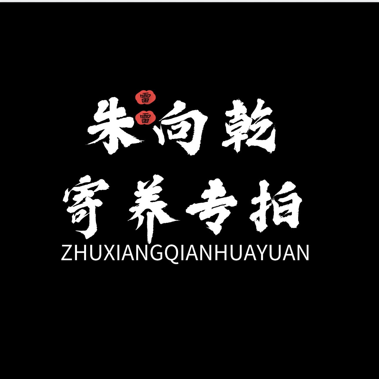 朱向乾【2025寄养专拍】朱顶红默认有花叶