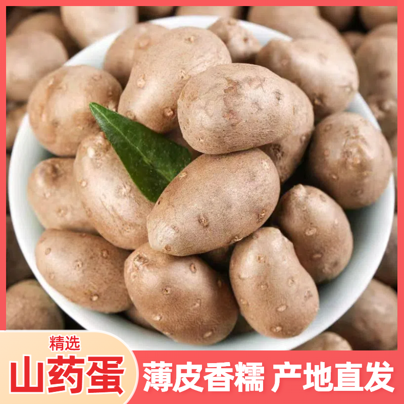 铁棍山药蛋山药豆薄皮香糯颗粒饱满可煮可蒸可炒农家自种产地直发