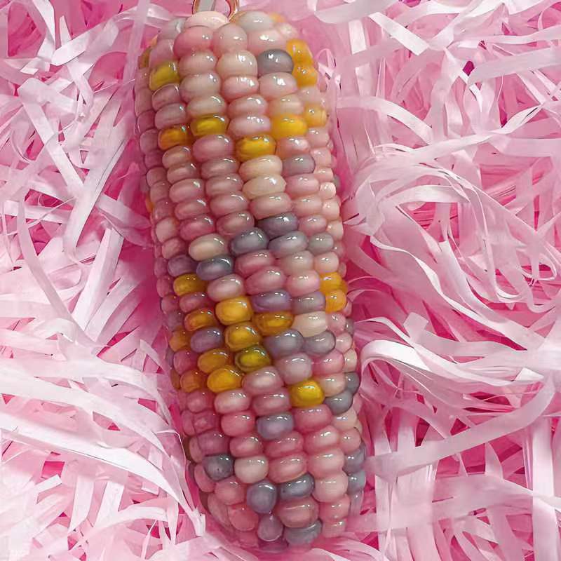 问完玉米七彩玉米 毛料玉米直播间一物一拍