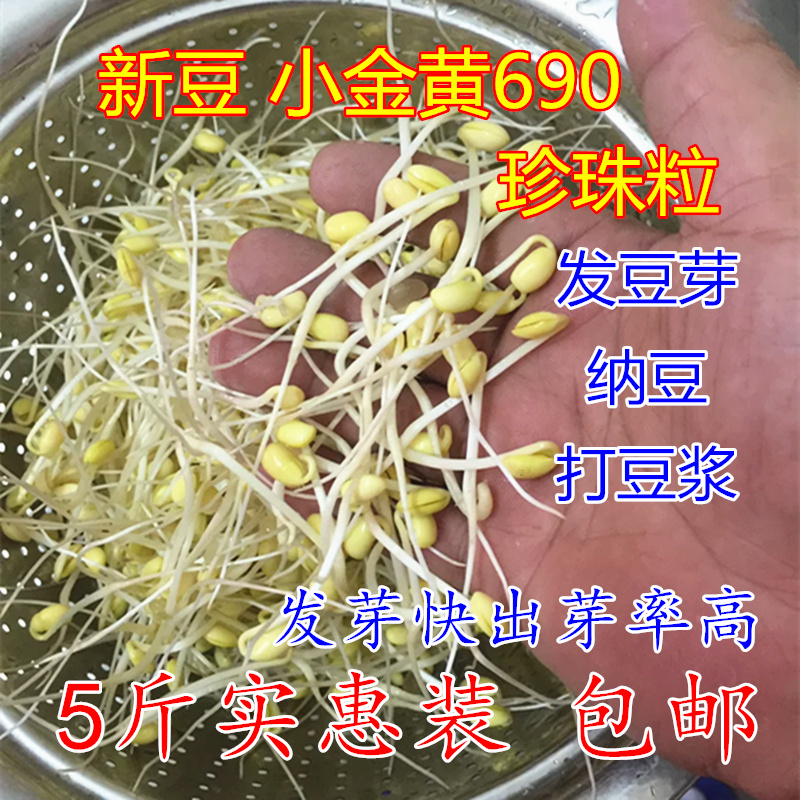 新豆小金黄690黄豆5斤非转基因小黄豆发豆芽做纳豆珍珠粒250g包邮