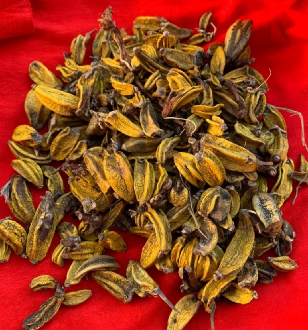 云南土特产 玉、枢、丹、传统滋补现收农产品干货