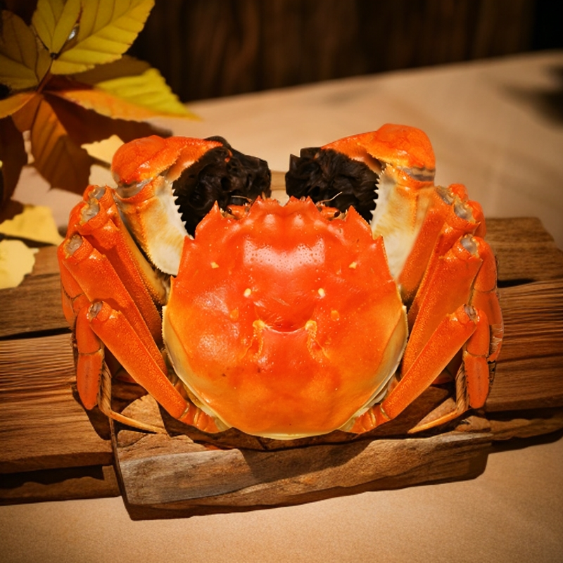 【活蟹】公4只（4.5-4.2两）母4只（3.5-3.2两）苏州精品大闸蟹8+2 10只