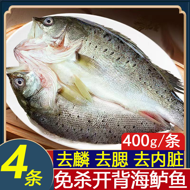 开背海鲈鱼 4条 （400g/条）七星新鲜冷冻鲜嫩美味生鲜鱼海鲜