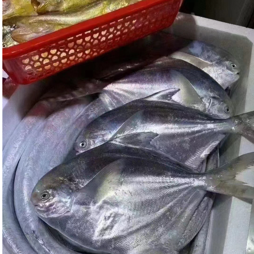 直播间各种新鲜鱼虾现称现拍链接，请勿乱拍！！！