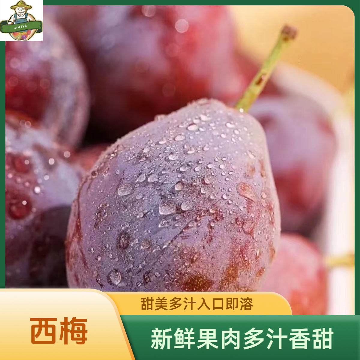 【邮政助农】正宗新疆法兰西梅新鲜现货西梅水果现发