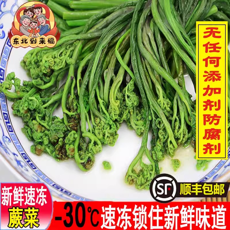 顺丰包邮新鲜蕨菜东北特产猫爪拳头菜速冻山野菜无添加剂山菜蘸酱