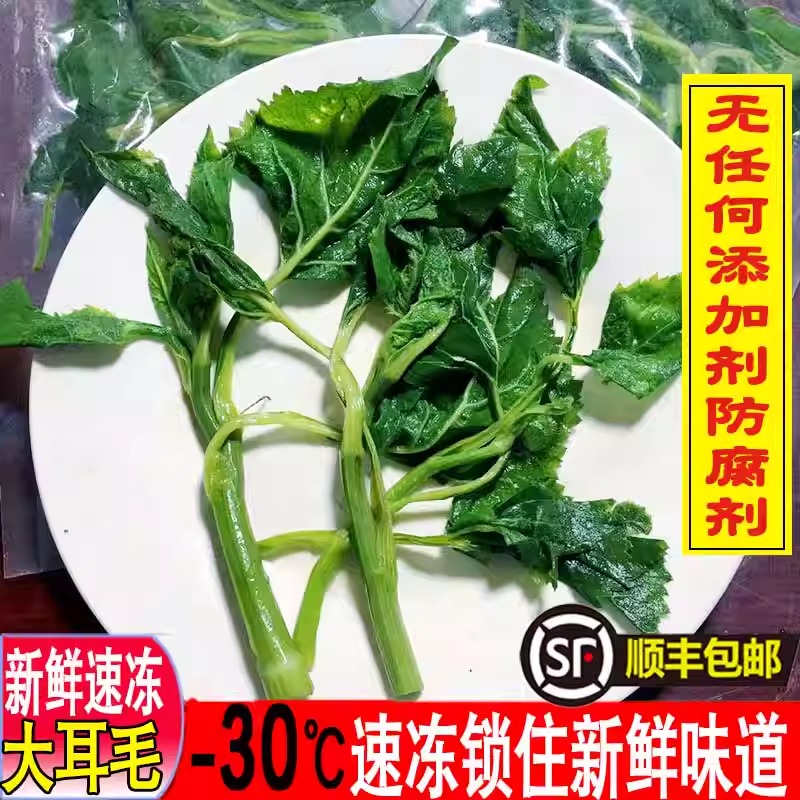 山野菜速冻东风菜东北特产新鲜大耳毛山野菜无添加剂色素顺丰包邮
