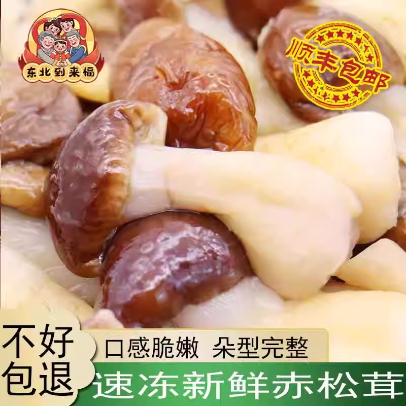 松茸菇速冻新鲜赤松茸食用菌速冻大球盖菇红姬松茸顺丰包邮