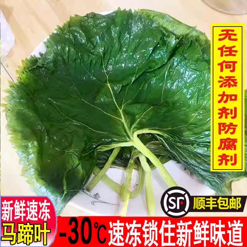 顺丰包邮速冻新鲜马蹄叶东北特产山野菜大叶子朝鲜族包饭菜驴蹄草
