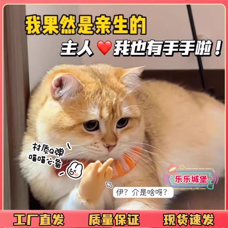 猫咪手指套高弹性逗猫撸猫塑胶手套橡胶硅胶按摩左右小手搞怪玩具