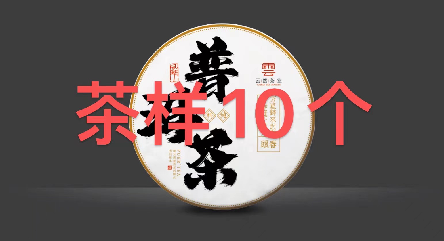 ｛小张哥直播｝高货茶样10个普洱茶