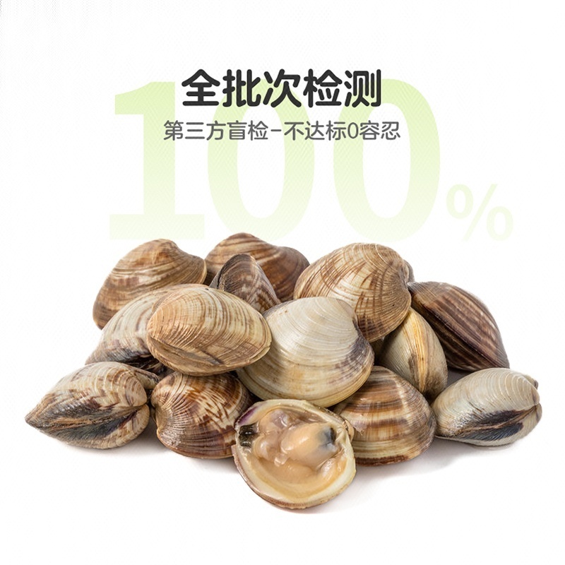 鲜活美贝 500g