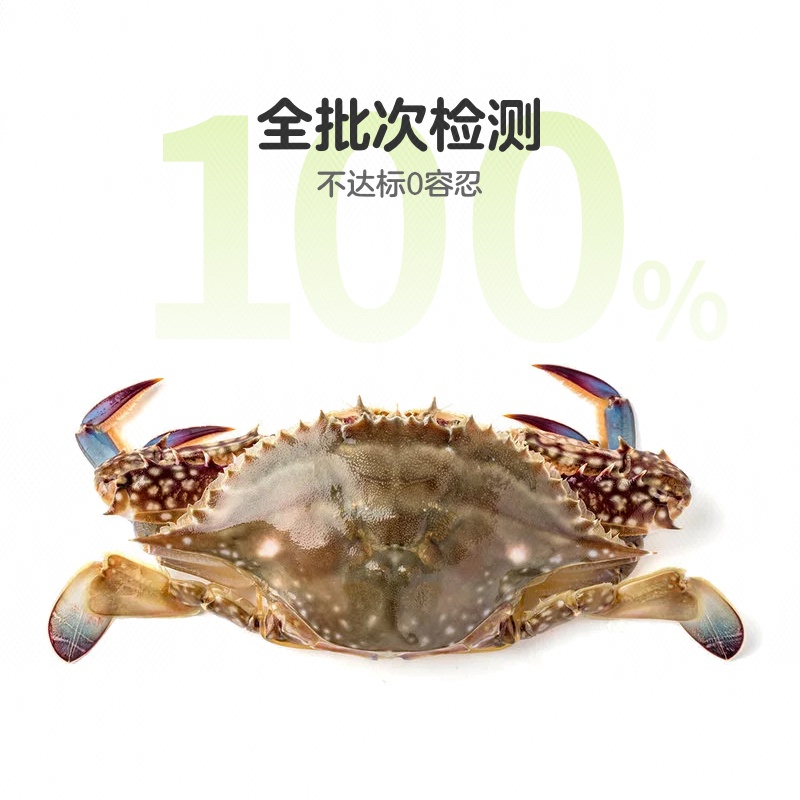 鲜活小梭子蟹海鲜(5-10只)约500g梭子蟹同城