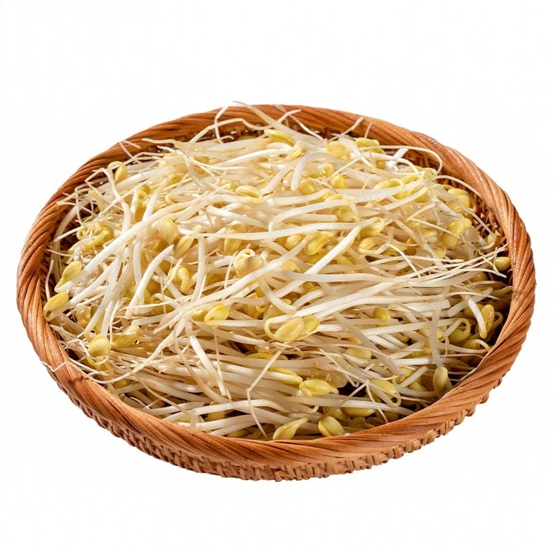 【无化学添加】安心黄豆芽 300g/份