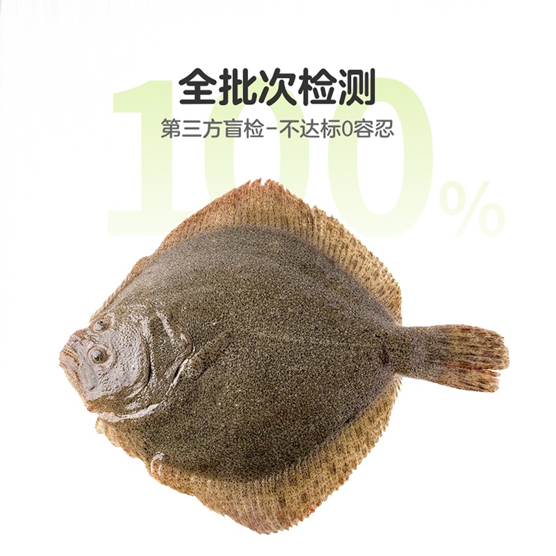 鲜活多宝鱼1条 约450g