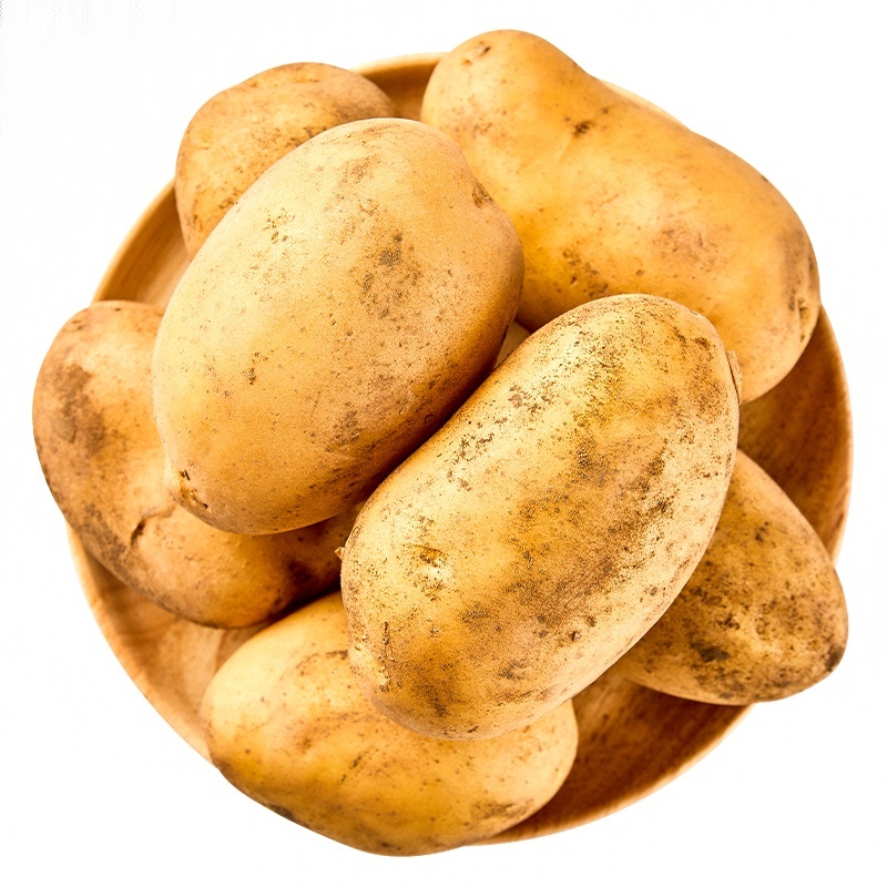 【当季现挖】土豆 约600g