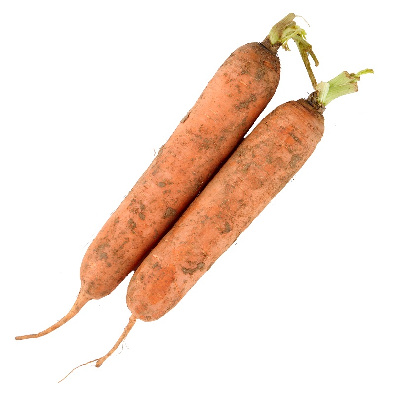 带泥胡萝卜 约500g