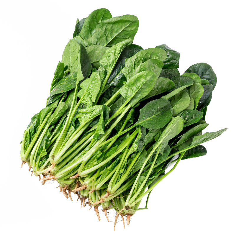 新鲜菠菜 约500g