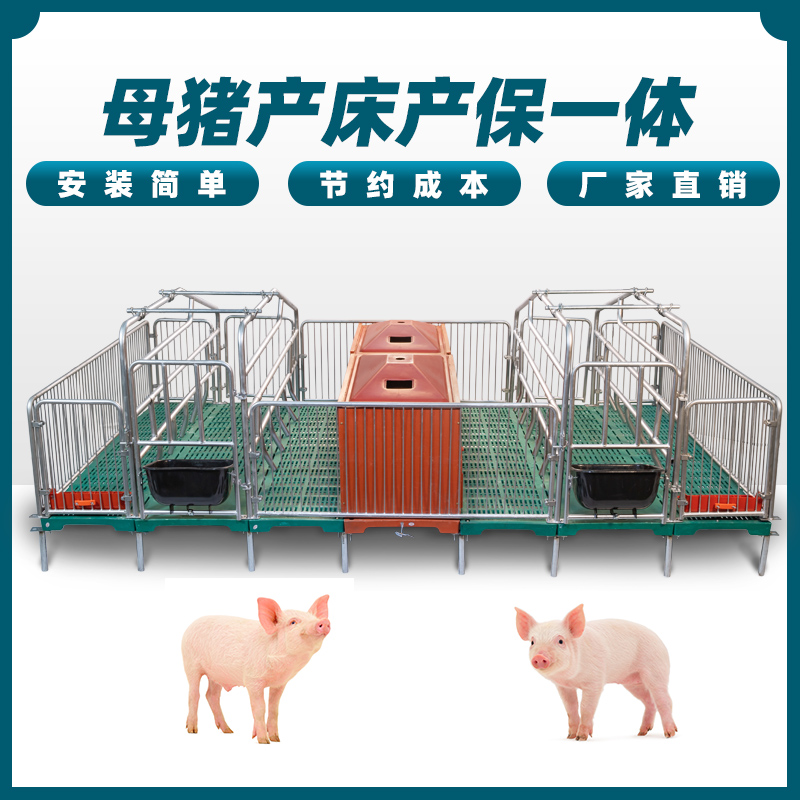 产保一体母猪产床镀锌保育床仔猪铸铁钢管耐用不锈钢使用方便调节