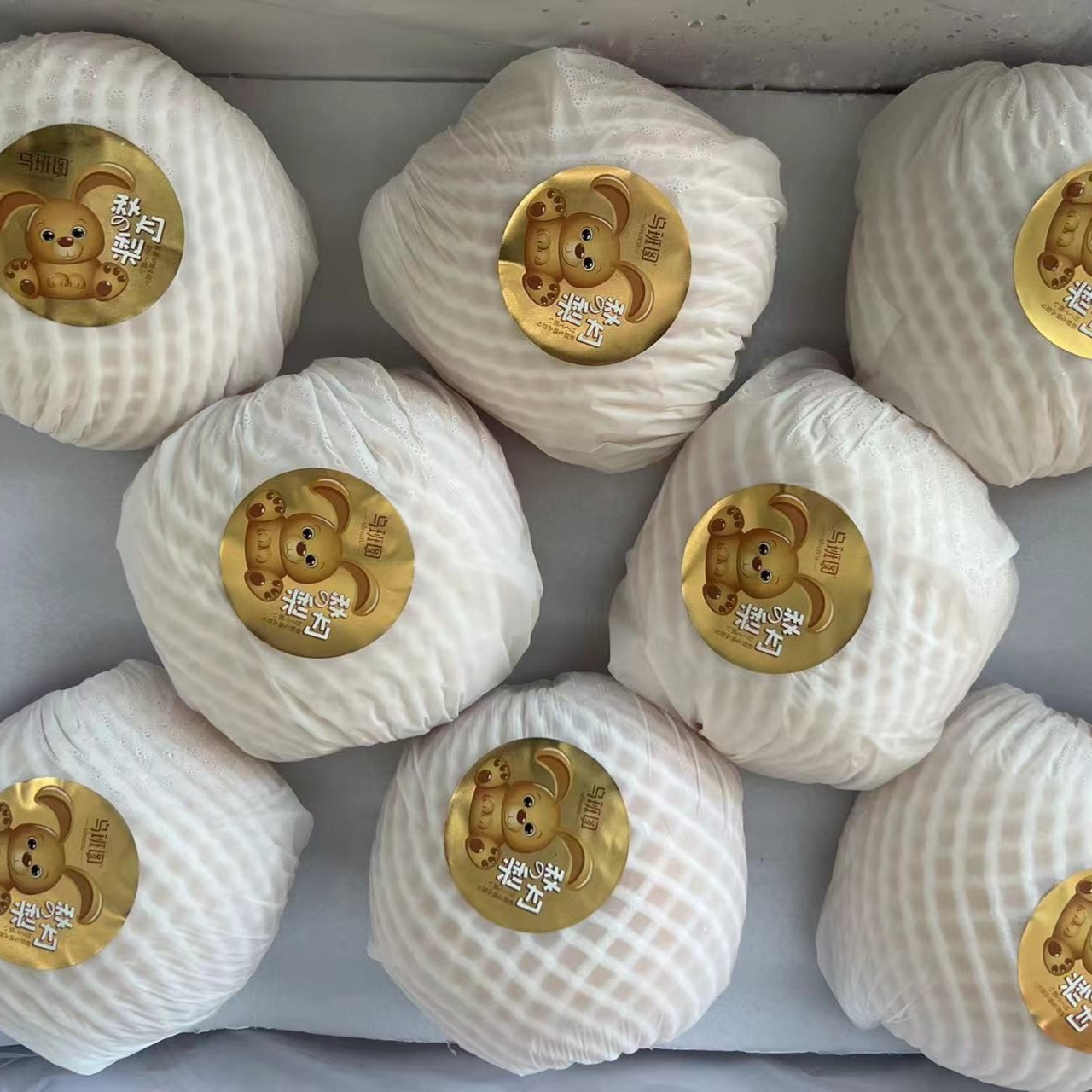 化州市区送货【乌班图秋月梨】一件8个大果