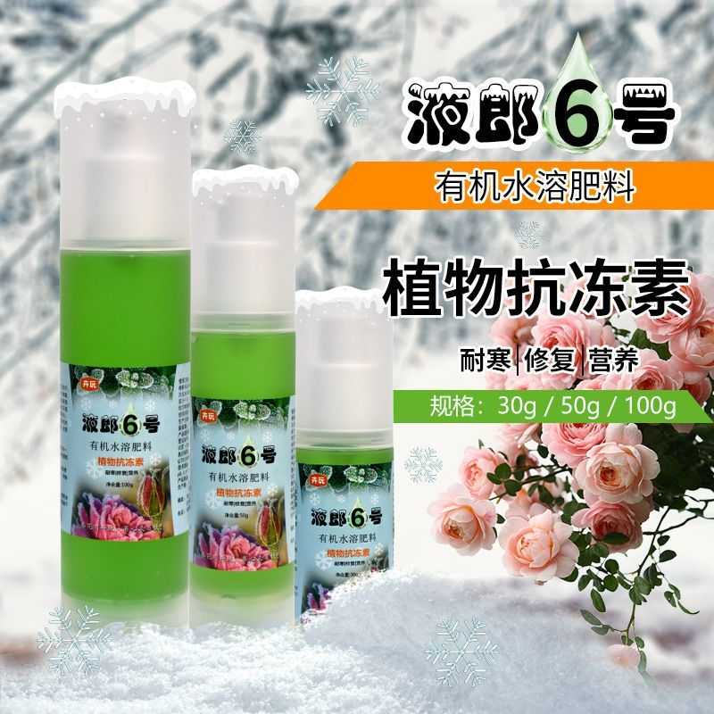 老花医卉玩 液郎6号 植物抗冻素有机水溶肥料 花卉绿植防寒抗冻剂