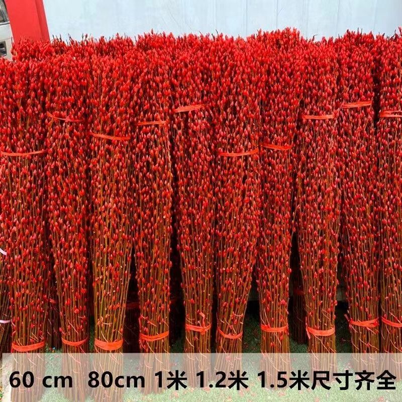 招财银柳鲜枝真花干花花束风干天然水养装饰客厅花瓶摆设年宵花卉
