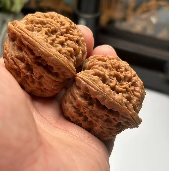 涿鹿南疆 龟甲纹 甲骨文 40尺