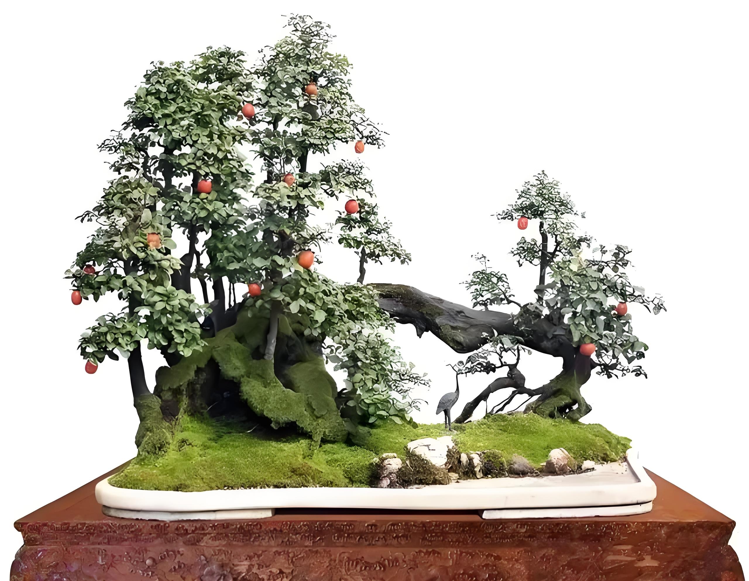 金弹子盆景（一物一拍，请勿盲拍）