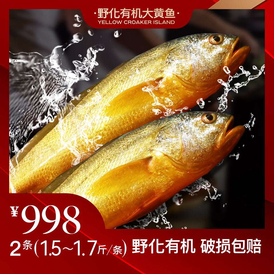 黄鱼岛【深海野化大黄鱼1.5-1.7斤/条】现捕现捞 新鲜发货 不鲜包赔