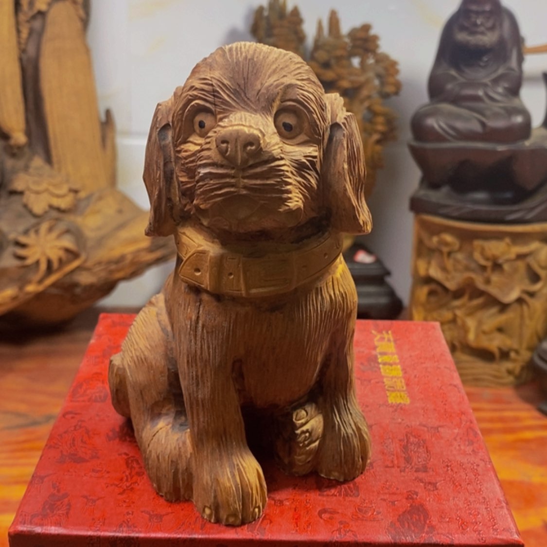 【闪购商品】红贵宝小*儿