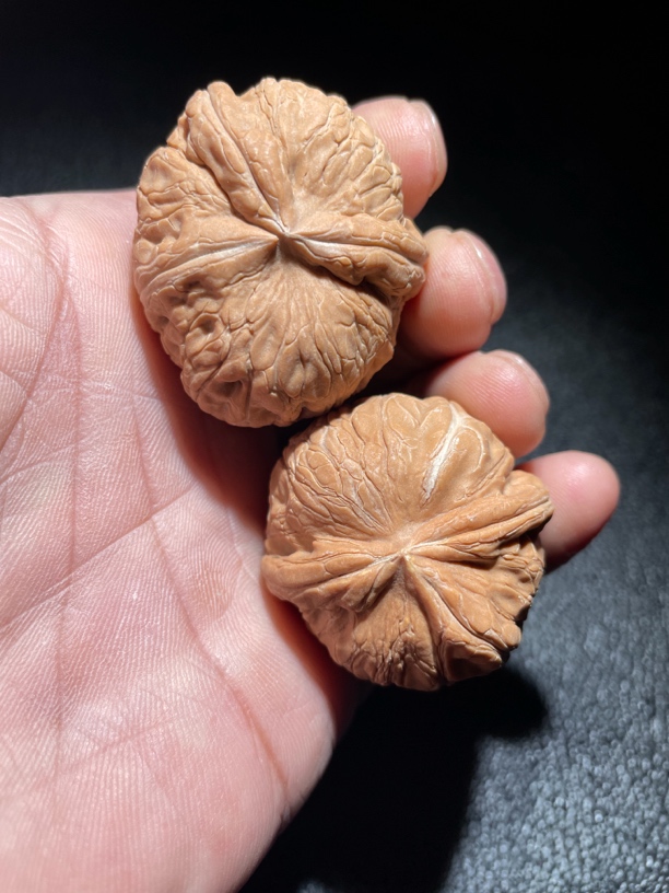 平谷元宝三棱牛，尺寸40