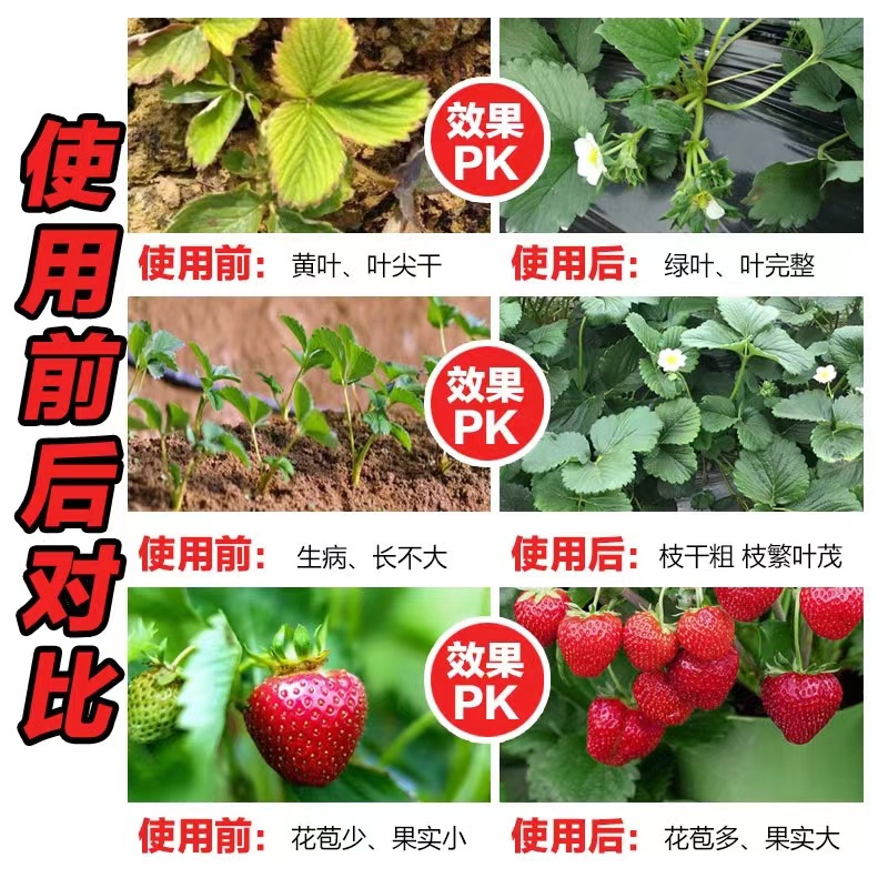 免稀释草莓肥料肥营养液室内家用盆栽瓜果植物通用型液体肥料