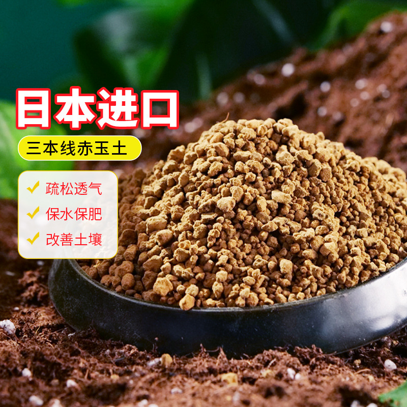 包邮硬质三本线赤玉 土花卉多肉种植火山颗粒土 兰花盆栽植物铺面
