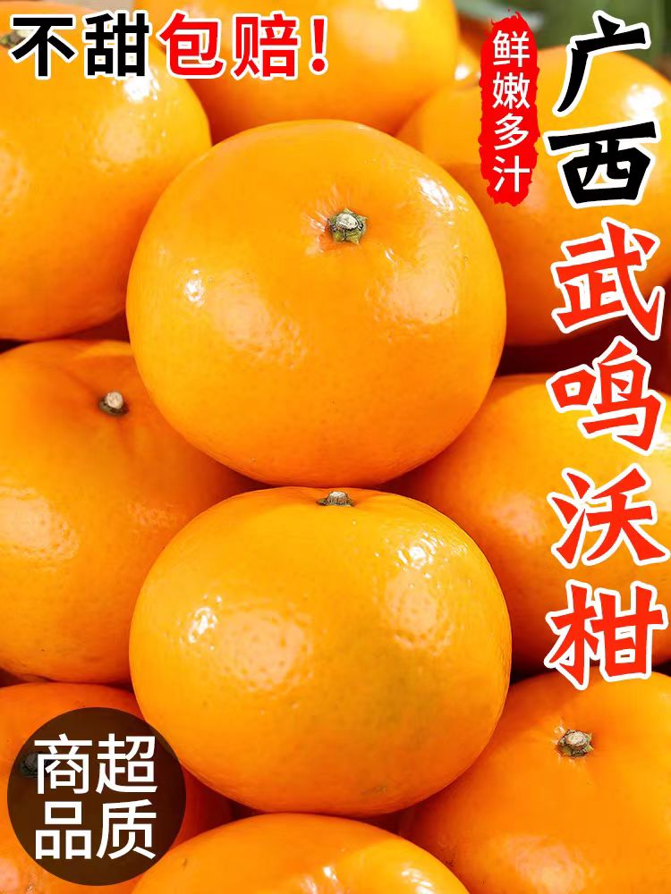 【现摘现发】广西正宗武鸣沃柑5/10斤应季孕妇水果新鲜柑橘坏果包赔