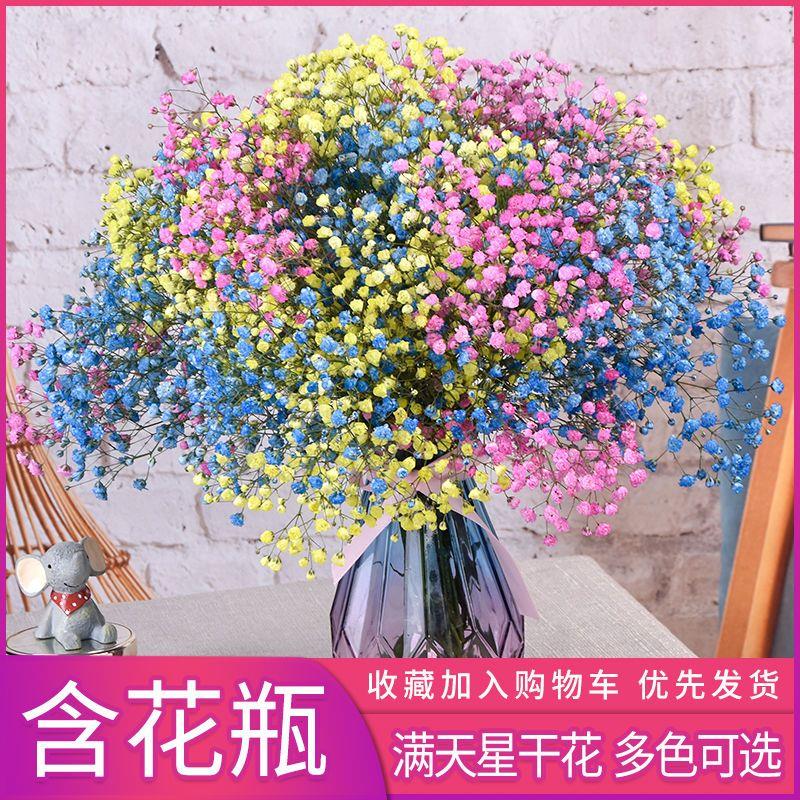 新疆包邮满天星天然干花花束兔尾草新房装饰摆件风干真插花家